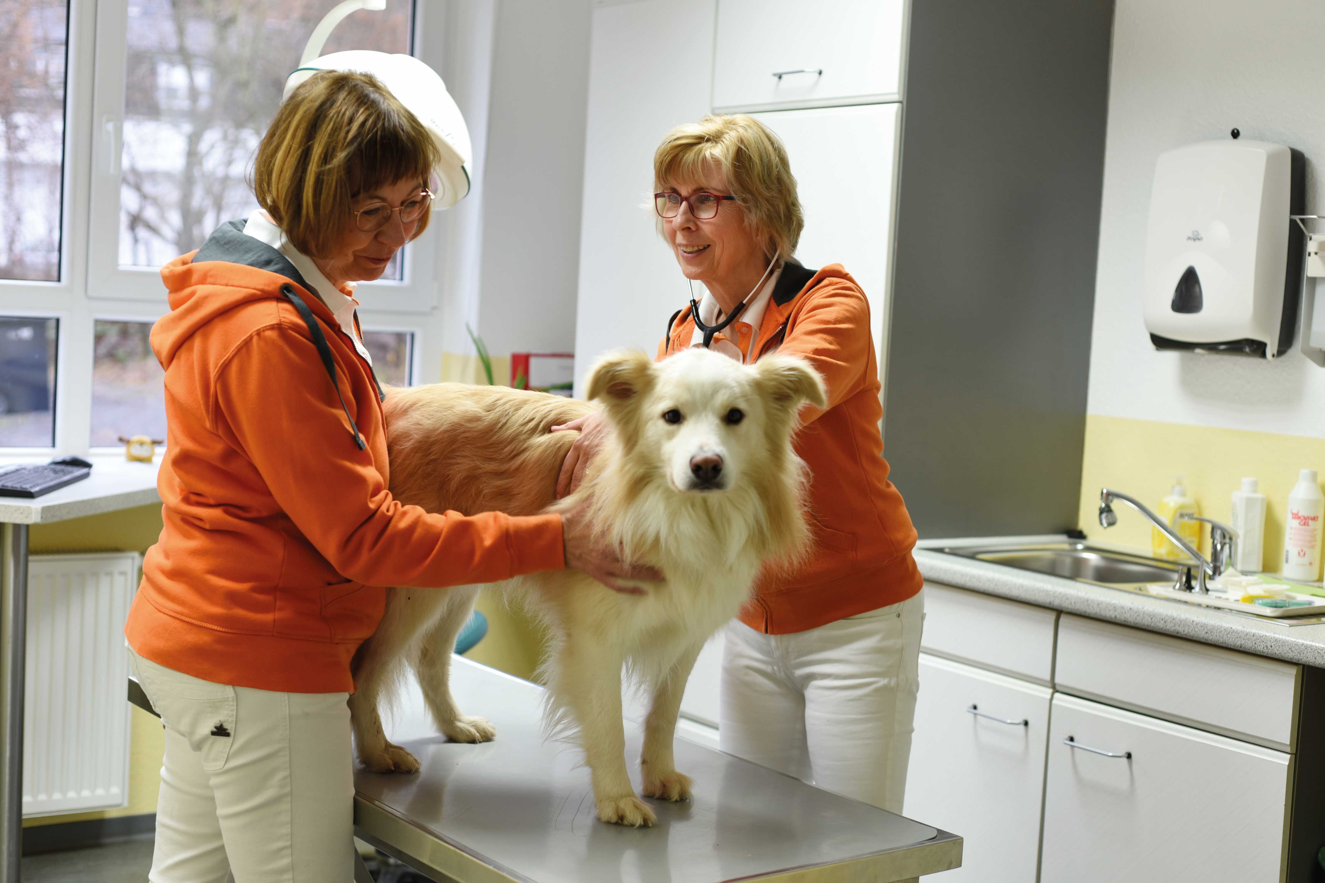 Achtsamkeit und Fürsorge – seit über drei Jahrzehnten