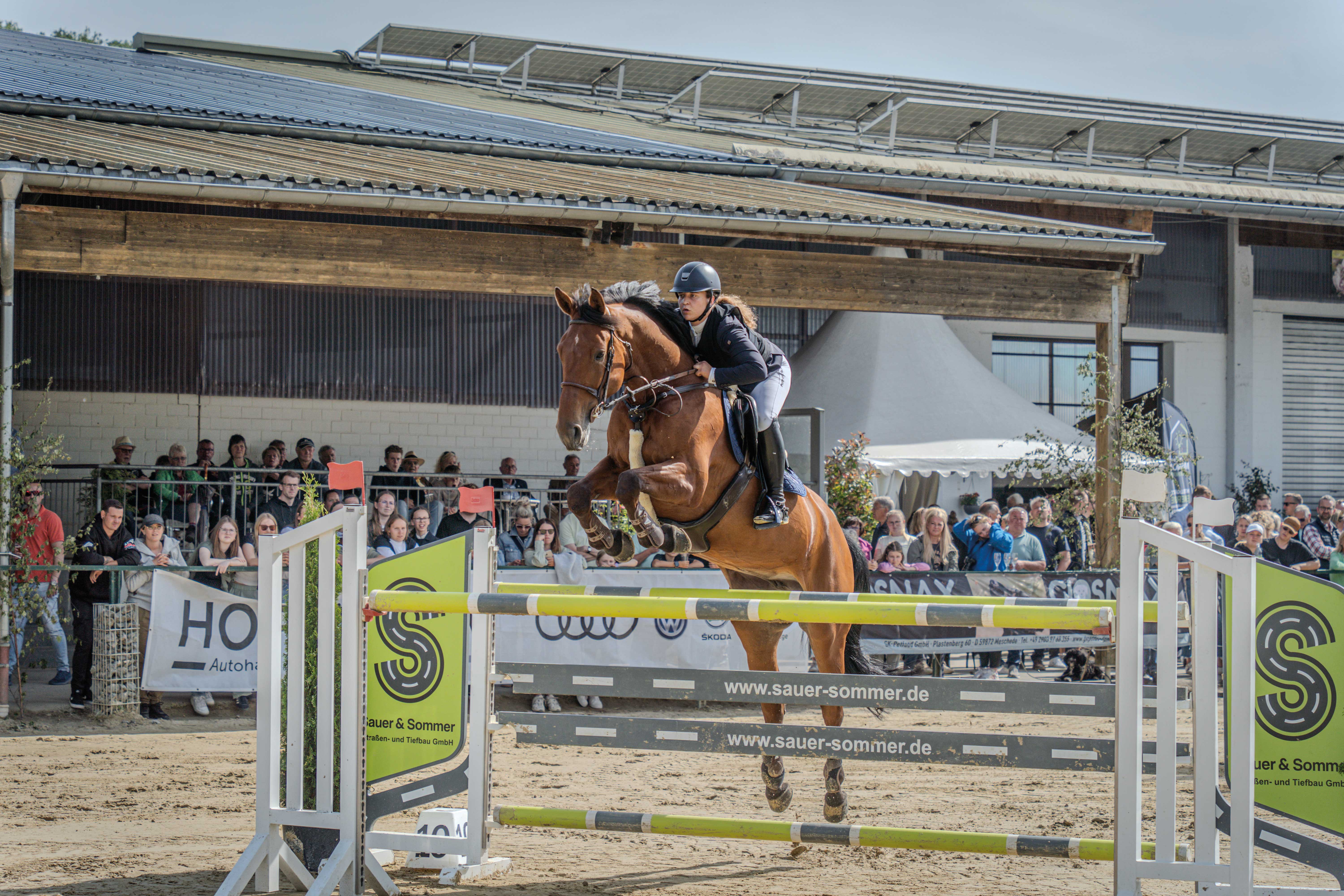 Sportlicher Höhepunkt im Parcours ist der Große Preis der Brauerei Veltins am Sonntagnachmittag, eine Springprüfung der Klasse S*** mit Stechen.