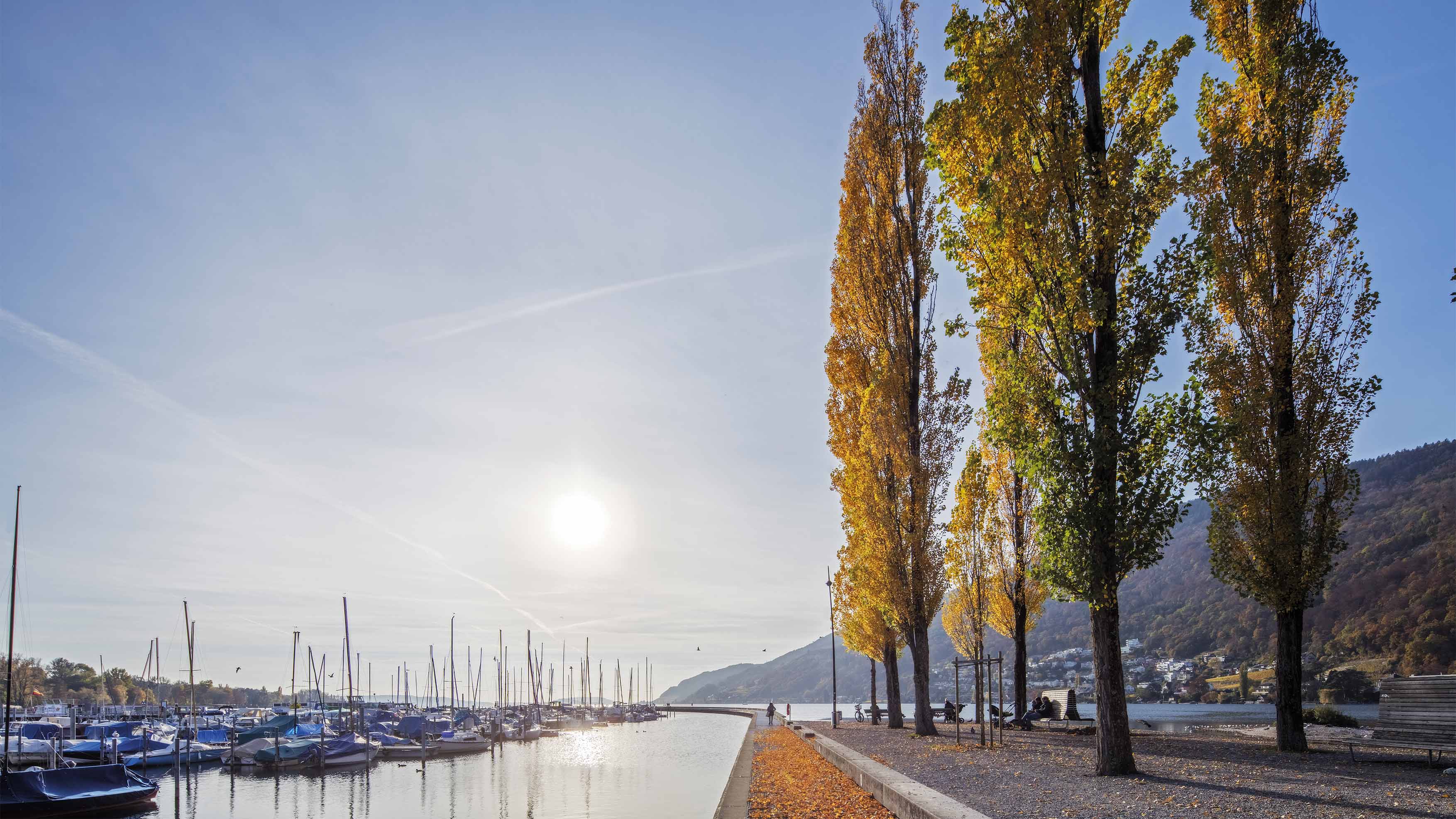 Den Herbst im Bieler Seeland erleben…