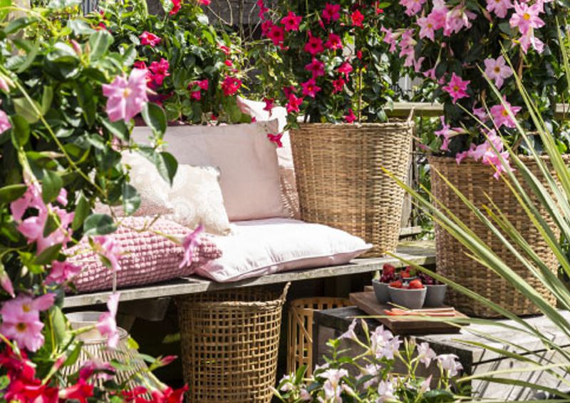 Neue Blumen braucht das (Sauerland-)Land