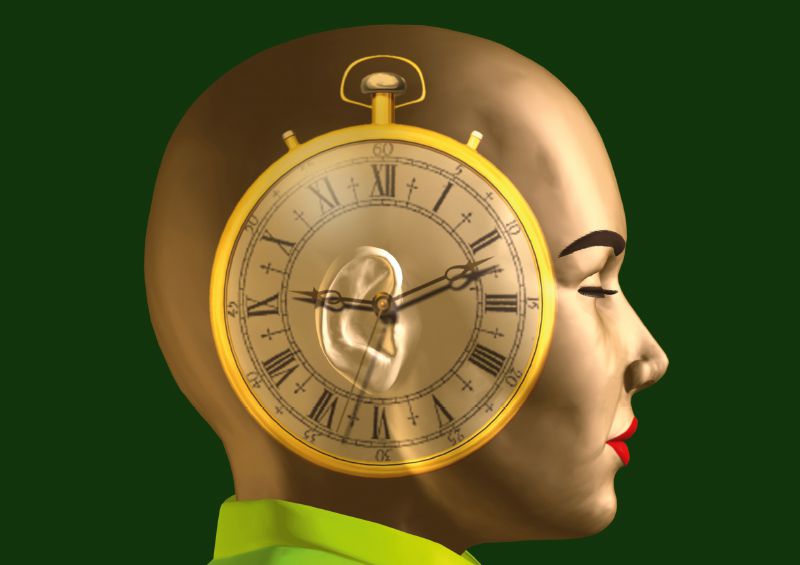 Wie der Mensch tickt