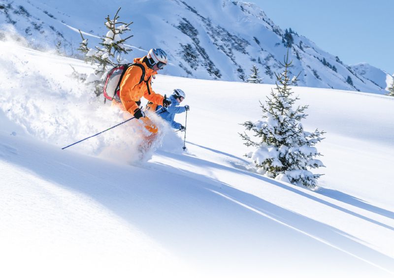 Winterglück liegt draußen