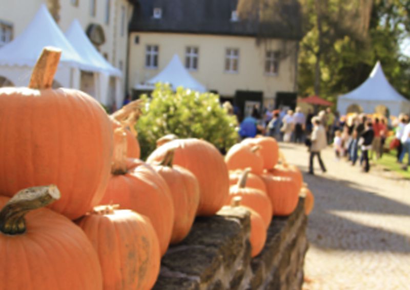 messen & ausstellungen rainer timpe