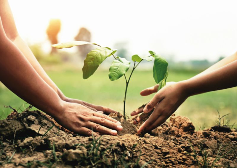 Wirtschaft und Umweltschutz – eine sinnvolle  Symbiose