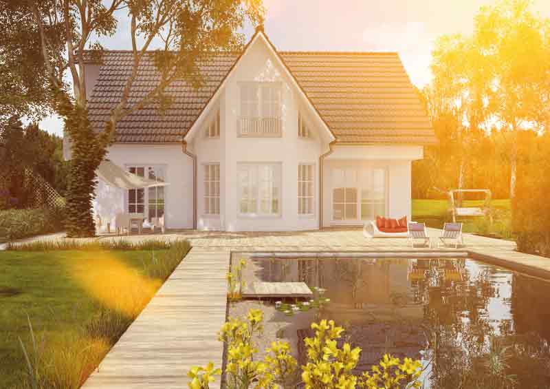 Wo nur die Bienen arbeiten