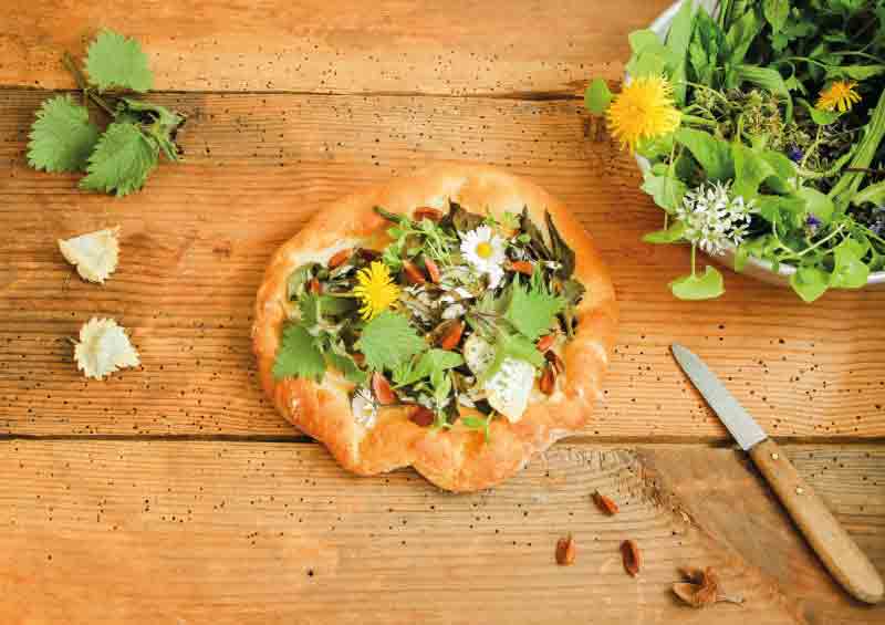 Von der Wiese auf den Teller