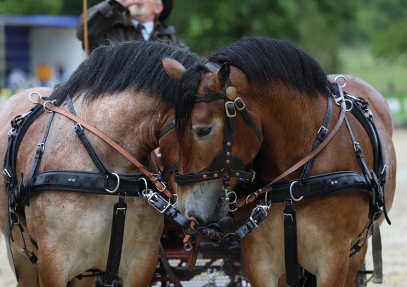 Große Freude nach zwei Jahren Wartezeit