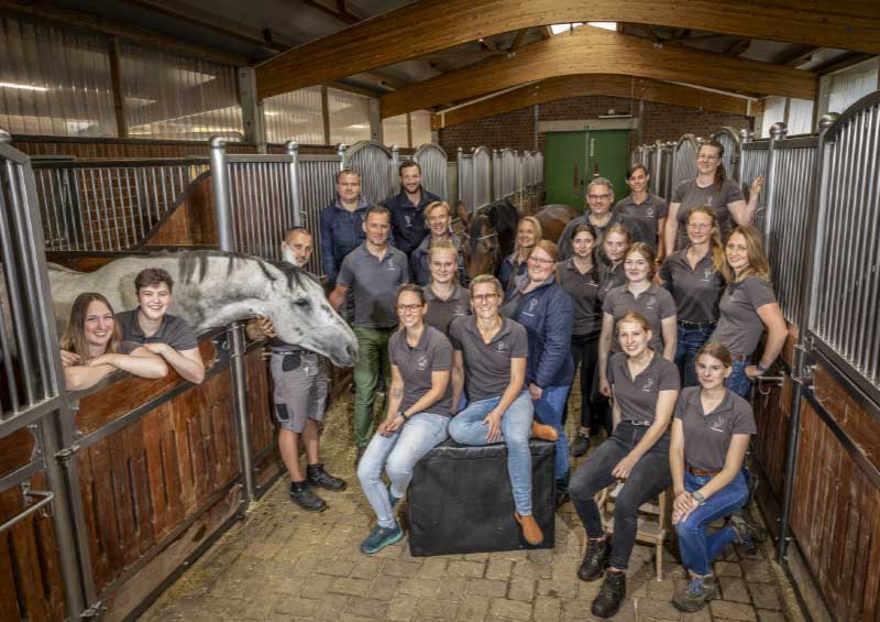 Pferdeklinik am Sorpesee – Aus Leidenschaft zum Pferd