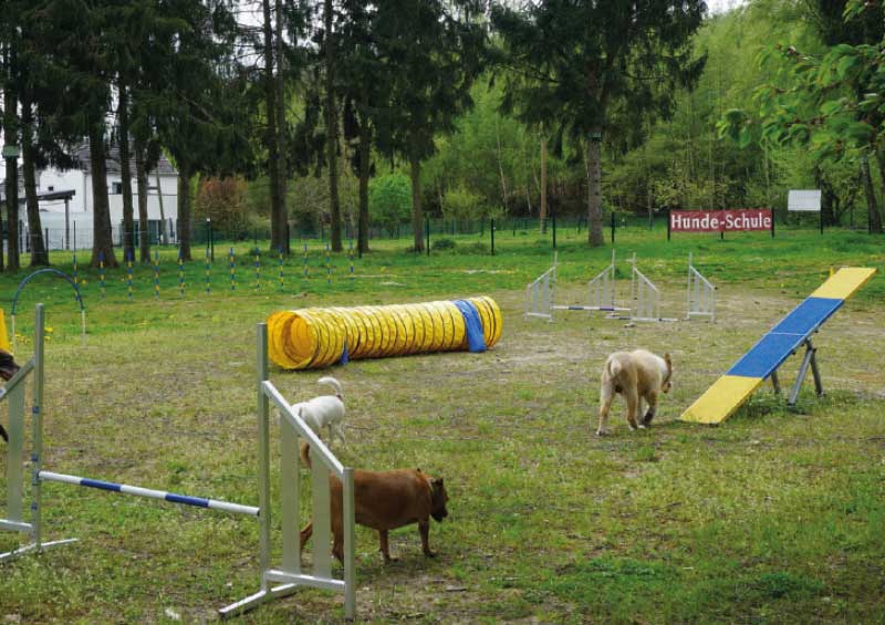 „Das Hotel für alle Felle“: