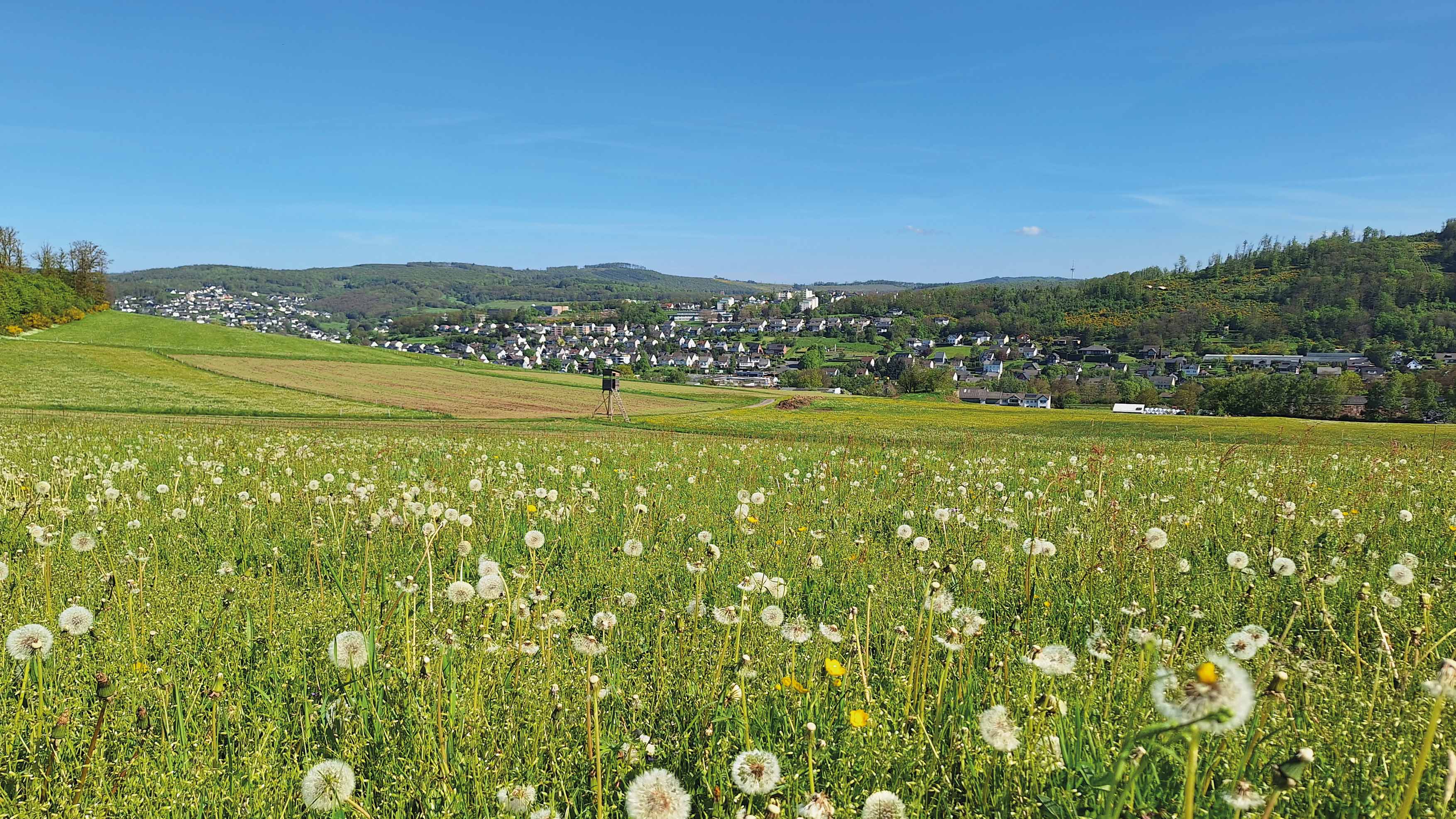 Starker Wirtschaftsstandort im Grünen