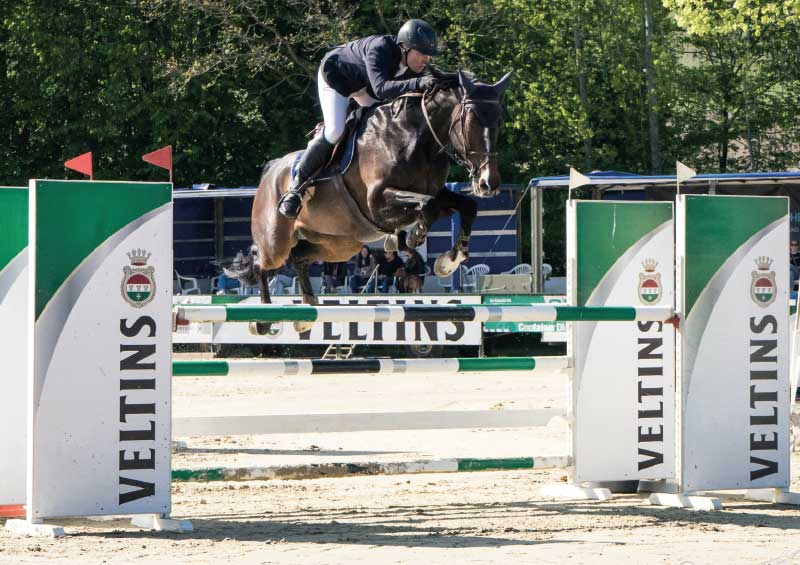 Glanzvolles Reitturnier in Hellefeld