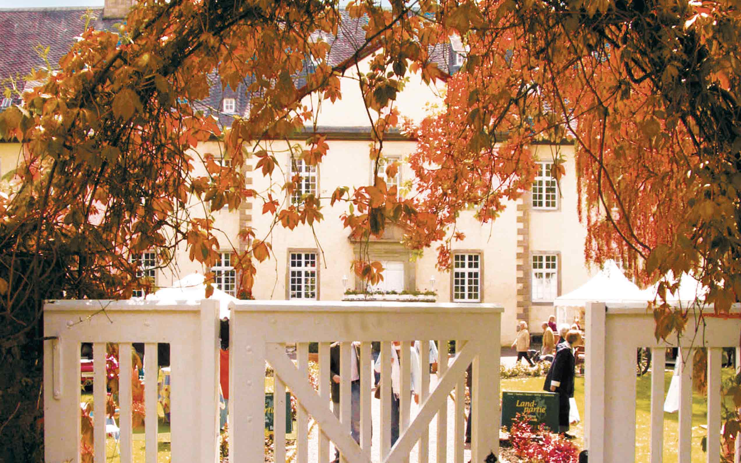 Paradies des guten Geschmacks (02/23)