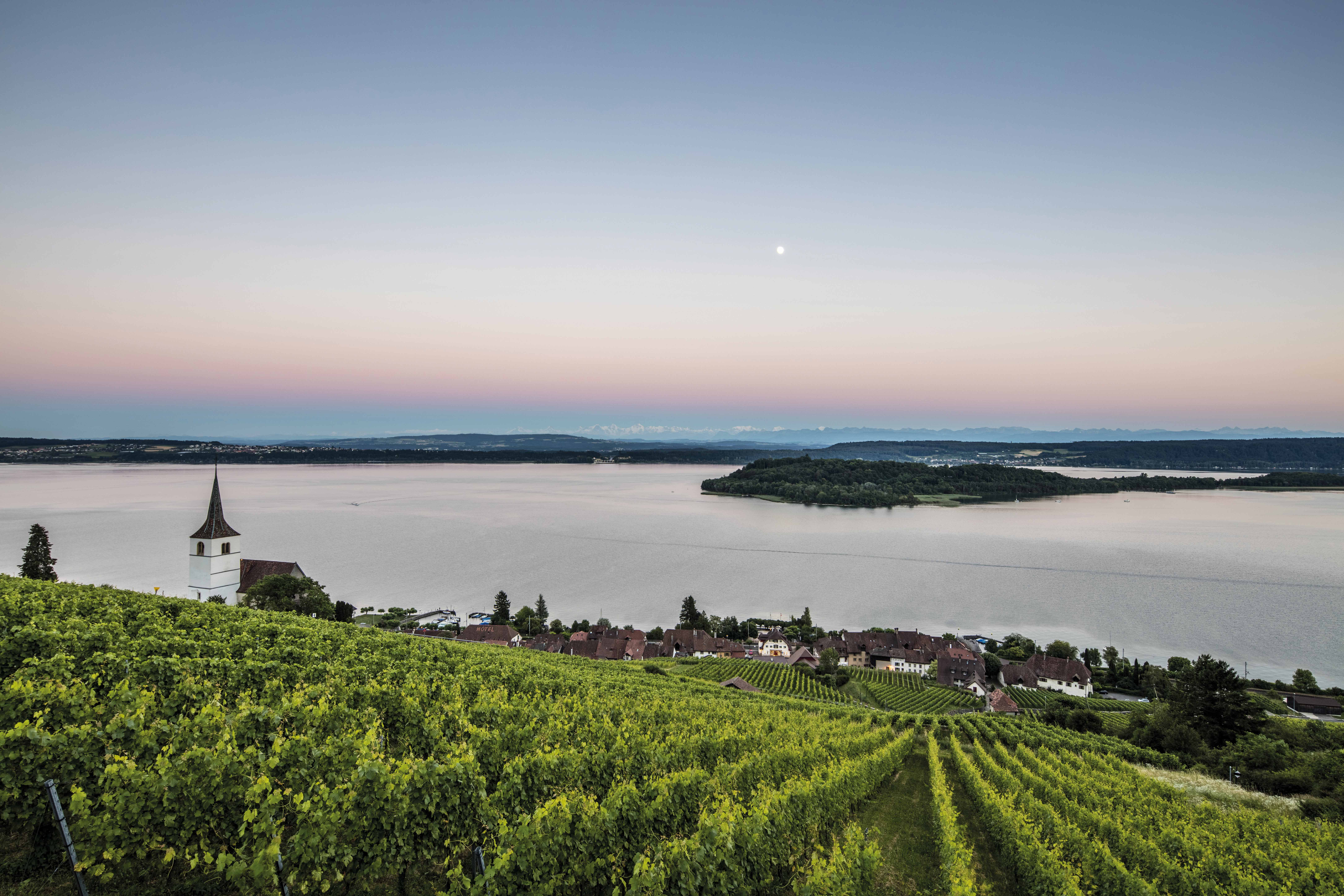 Choc o’clock - Entdecken Sie die Welten der Uhren und der Schokolade