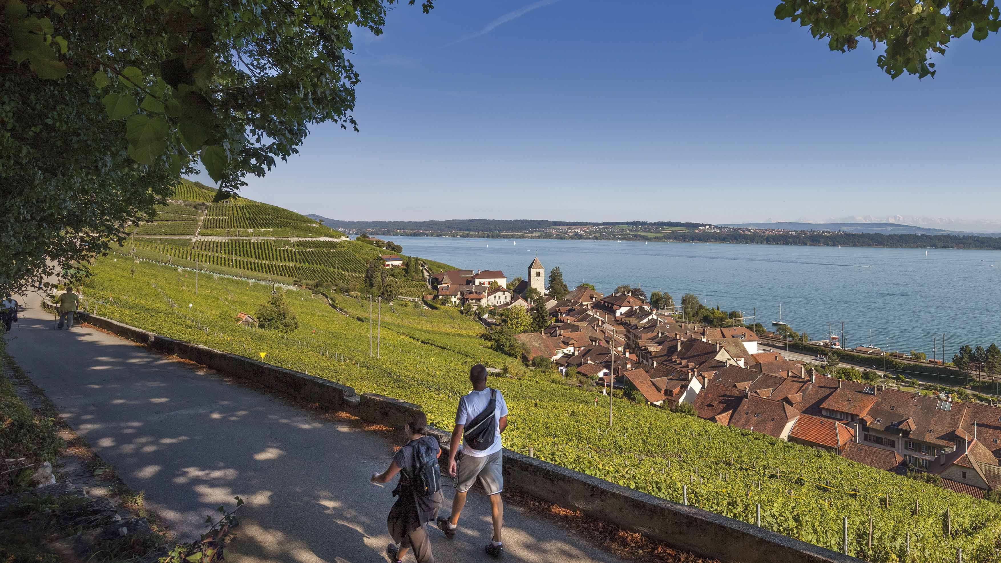 Den Herbst im Bieler Seeland erleben…