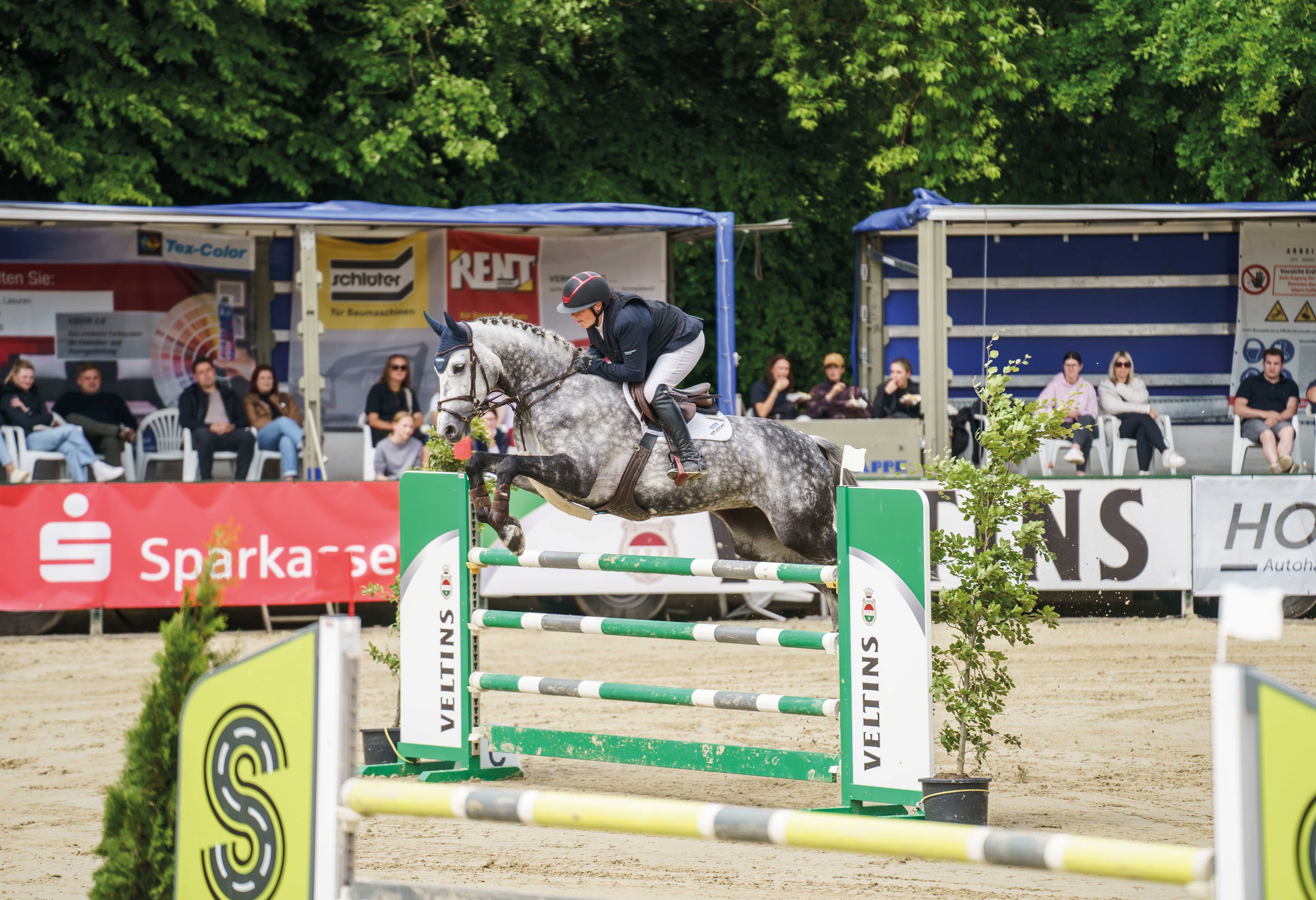 Die Springprüfungen zählen zu den Publikumsmagneten.