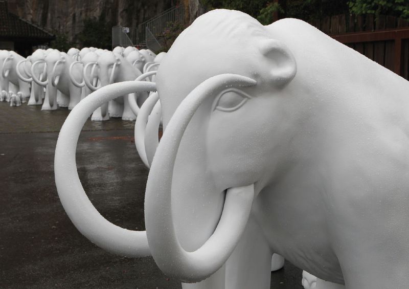 KEINE ANGST VOR MAMMUTPROJEKTEN