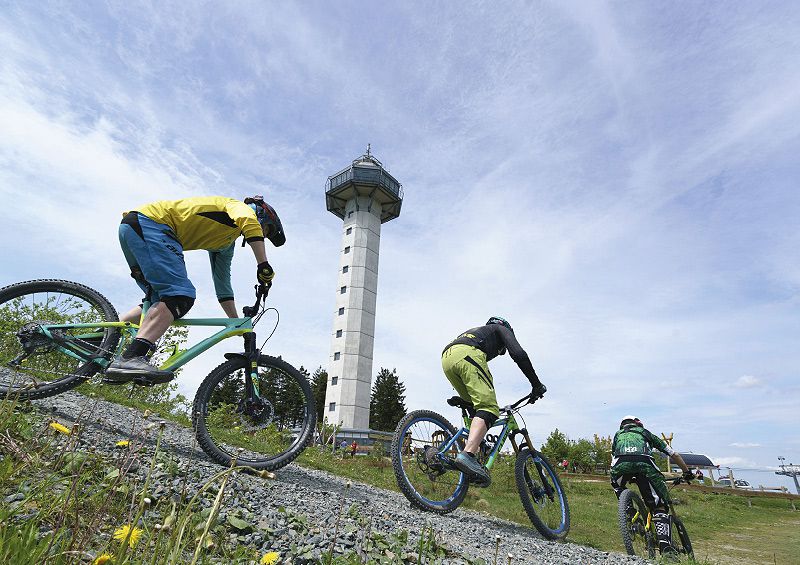 WILLINGEN – EINE BUNTE WUNDERTÜTE