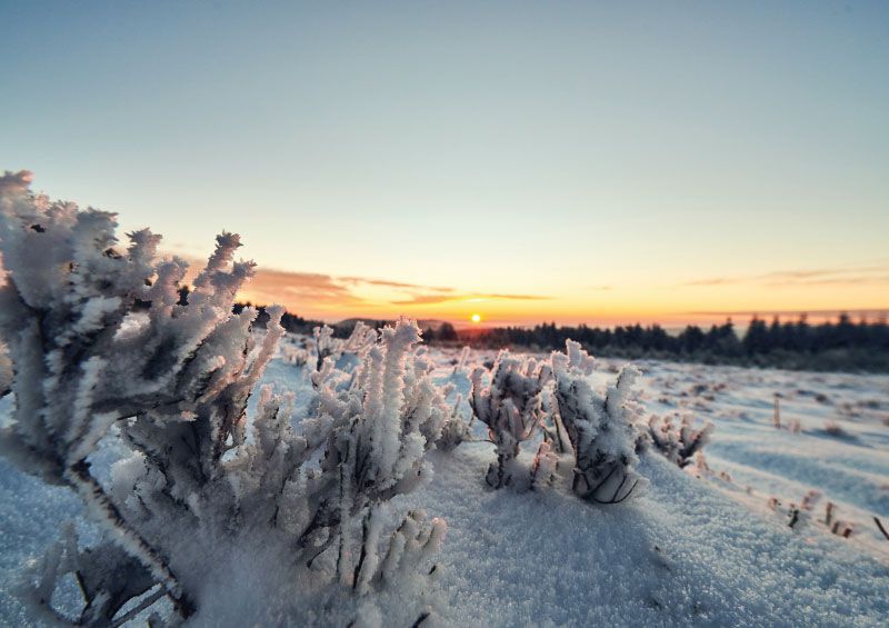 RAUS AUS DEM ALLTAGSSTRESS