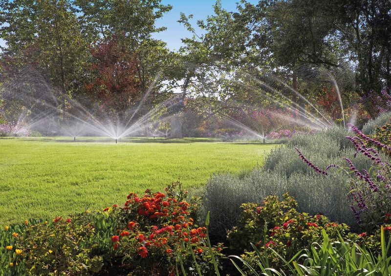 „Alexa, mach das Wasser an!“